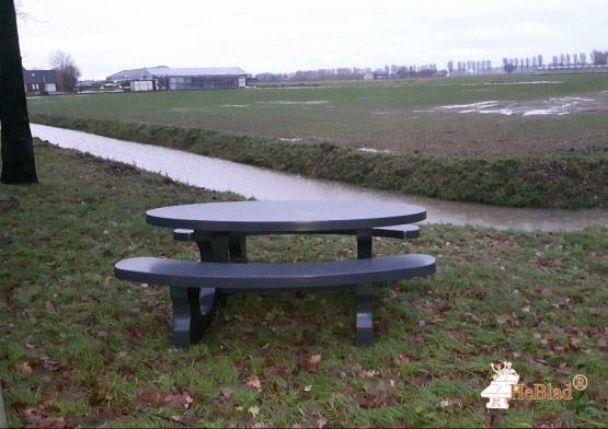 Ovale picknickset uit een stuk beton vervaardigd